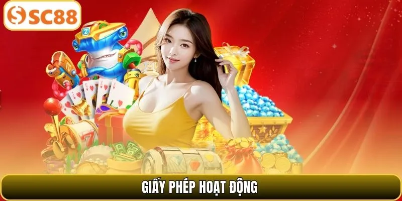 Giấy phép hoạt động